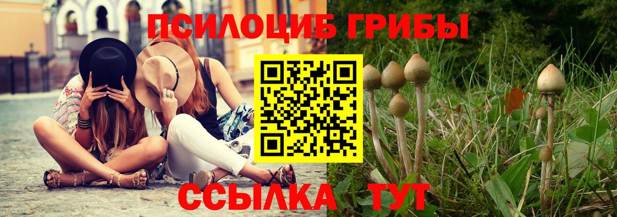 Галлюциногенные грибы Magic Shrooms Саранск