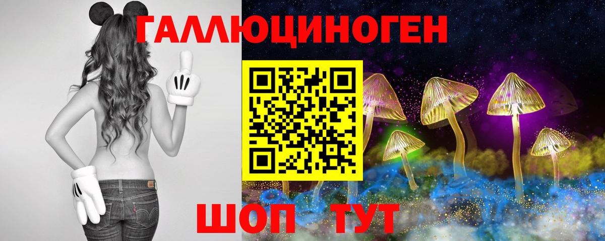 Саранск  Псилоцибиновые грибы Psilocybe  Псилоцибиновые грибы ЛСД  Вход с VPN 